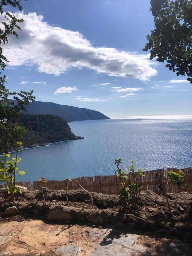 Kabak Uetopya Kamp Фаралия Экстерьер фото